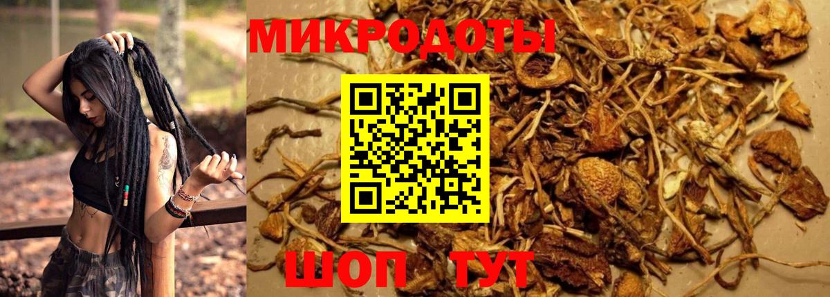 Холмск  Псилоцибиновые грибы GOLDEN TEACHER  Вход с VPN  Галлюциногенные грибы Psilocybe 